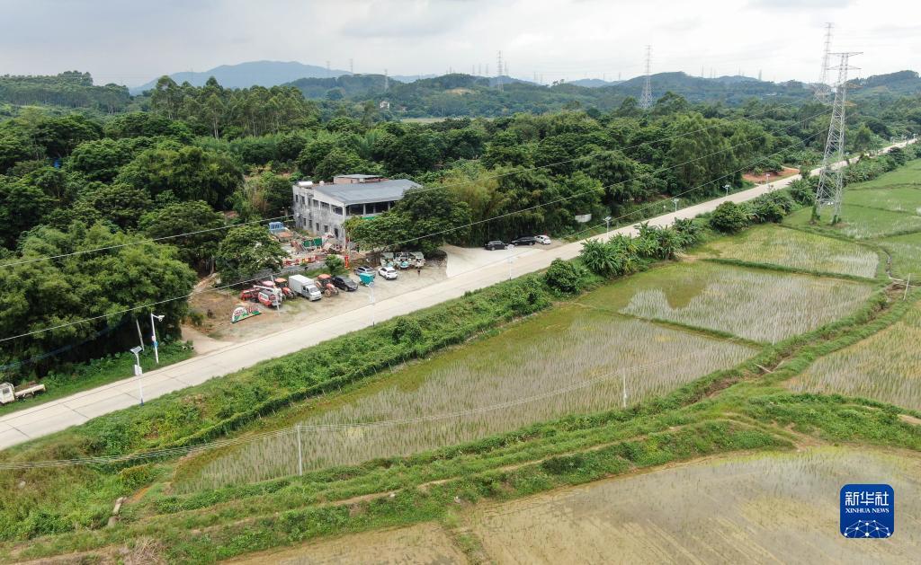 龙虎娱乐登录入口